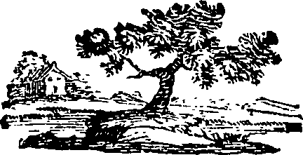 082/082820020201350_0.png