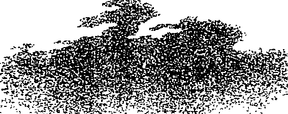 082/082820020201390_1.png