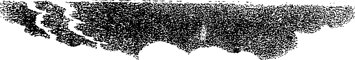 082/082820020201390_2.png