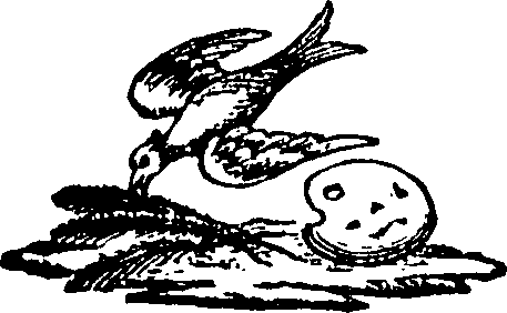 082/082820020202030_0.png