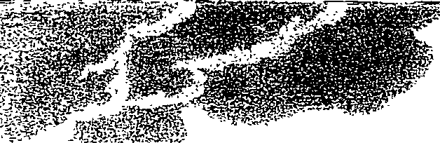 082/082820020202040_1.png