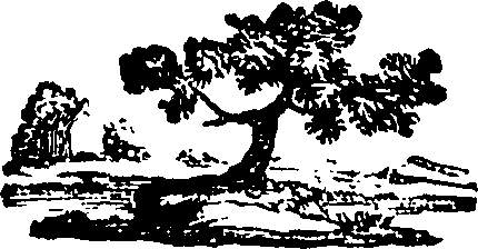 082/082820020202280_0.png