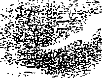 082/082820020202450_1.png