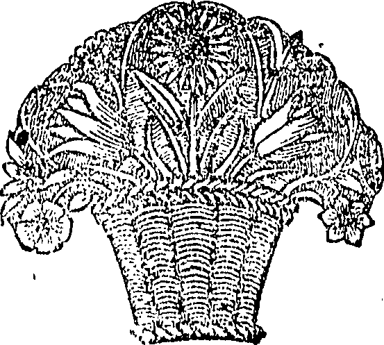082/082880050006800_0.png