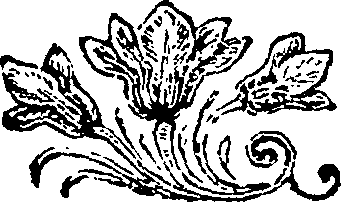 082/082910020005610_0.png