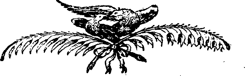 082/082920010100090_0.png