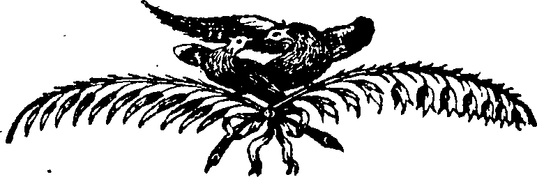 082/082920010200040_0.png
