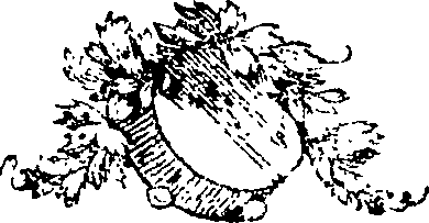 082/082920010202450_0.png