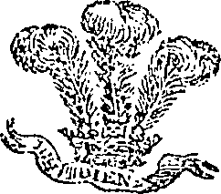 083/083030010203070_0.png