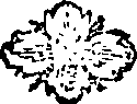 083/083040020000040_0.png