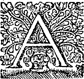 083/083050220002650_0.png