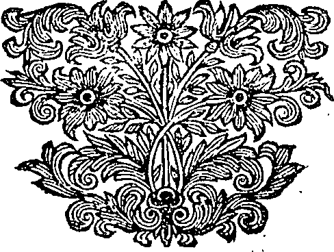 083/083050220002920_0.png