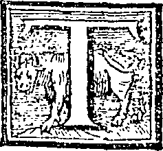 083/083050220003560_0.png