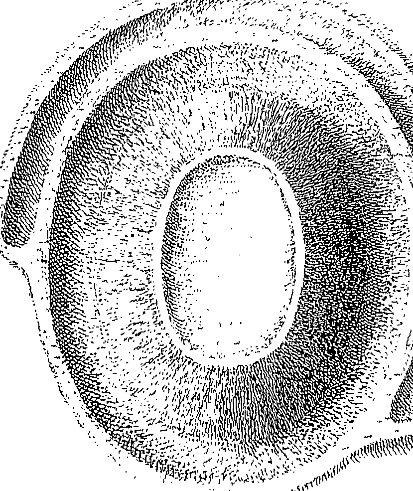 083/083130030000190_0.png