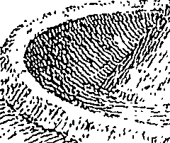 083/083130030000190_1.png