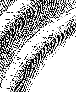 083/083130030000200_1.png