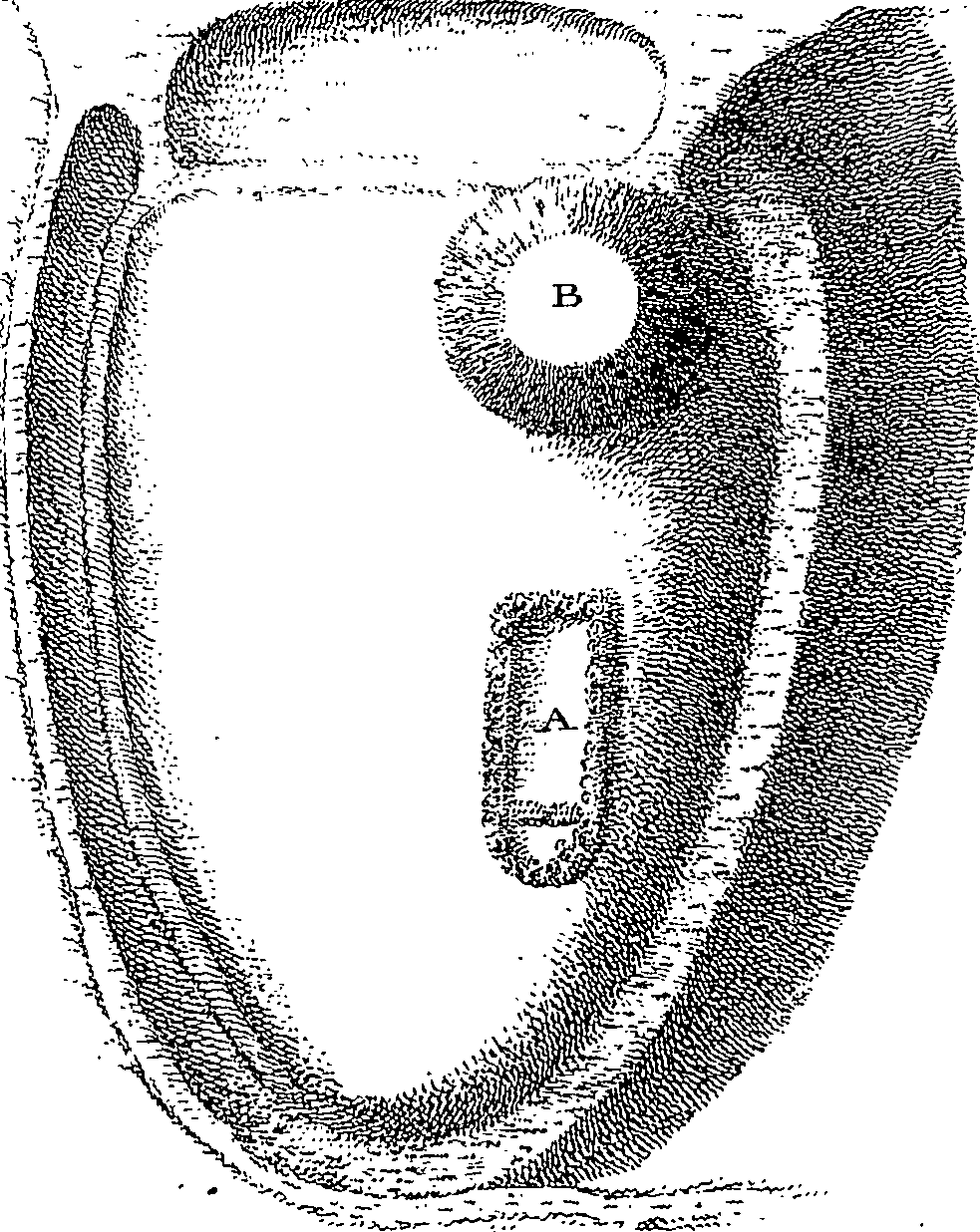 083/083130030000260_0.png