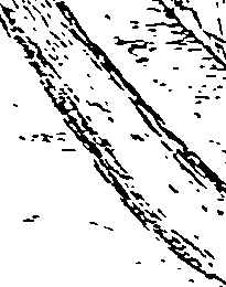 083/083130030000370_0.png