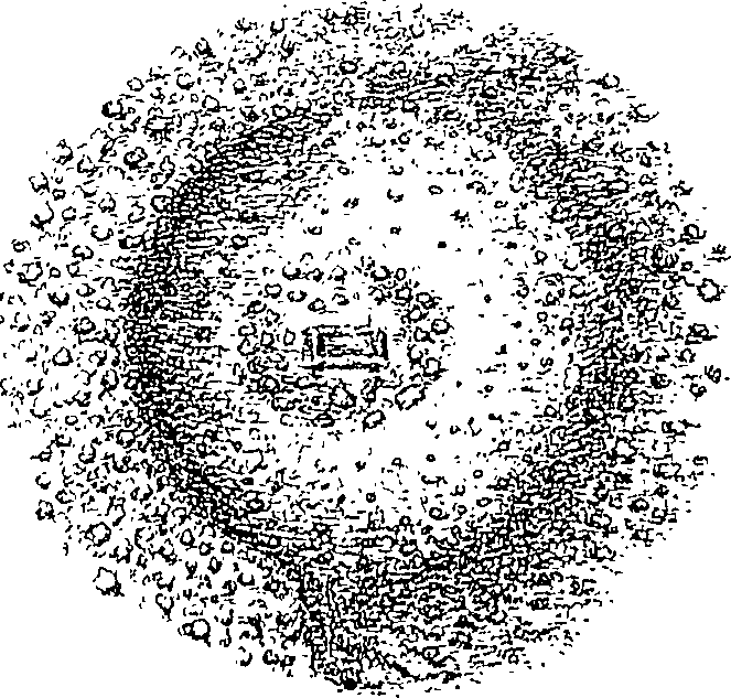 083/083130030000870_0.png