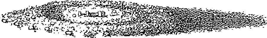 083/083130030000870_1.png