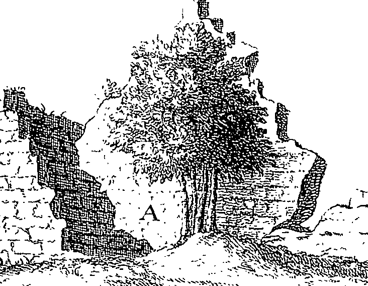 083/083130030001120_1.png