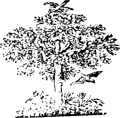 083/083180040001250_0.png