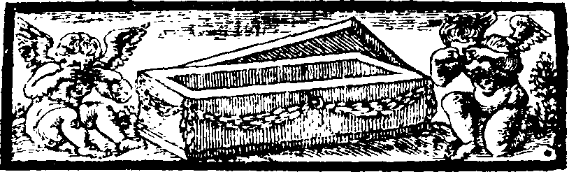 083/083180040001610_1.png
