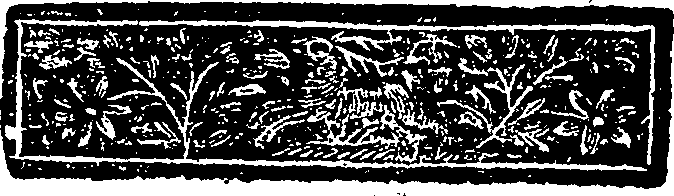 083/083200040000100_0.png