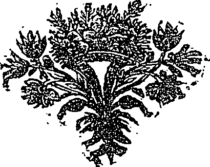 083/083240080000090_0.png