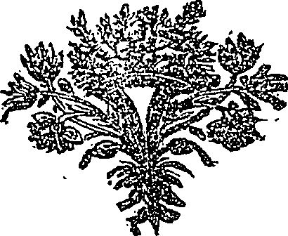 083/083240080000650_0.png