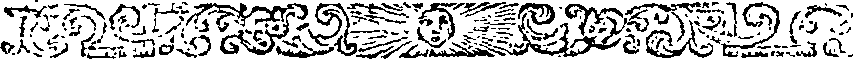 083/083320040000510_0.png