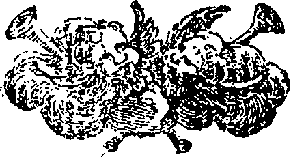 083/083350030003120_0.png