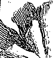 083/083420020004660_0.png