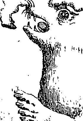 083/083420020004660_1.png