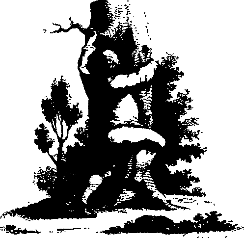 083/083600010101400_0.png