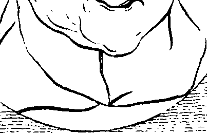083/083600010102000_0.png