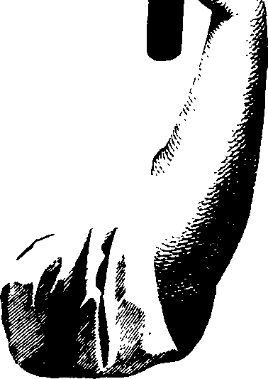 083/083600010102480_0.png