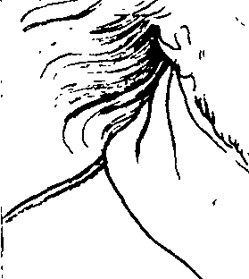083/083600010102610_1.png