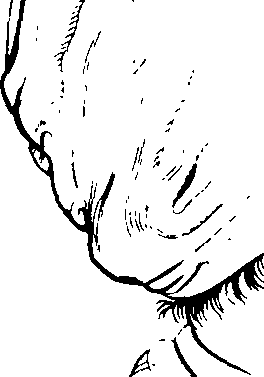 083/083600010200300_0.png