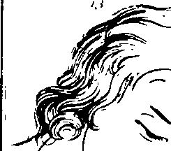 083/083600010200920_0.png