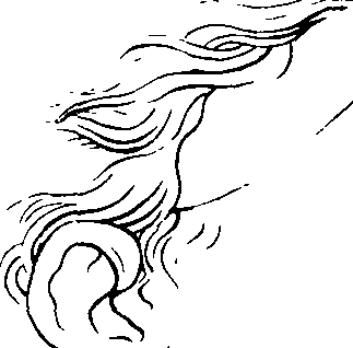 083/083600010201010_2.png