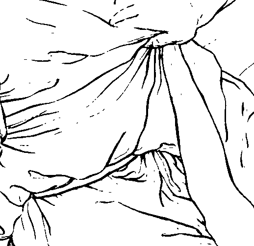 083/083600010201020_1.png