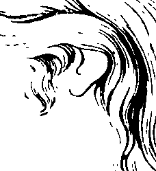 083/083600010201050_0.png