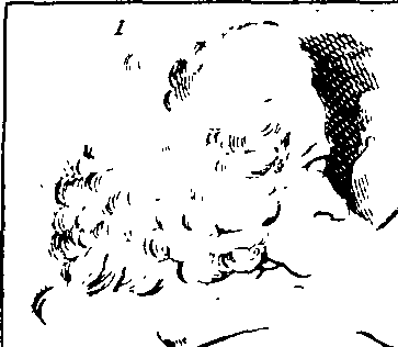 083/083600010201220_2.png