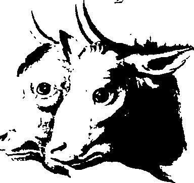 083/083600010201410_1.png