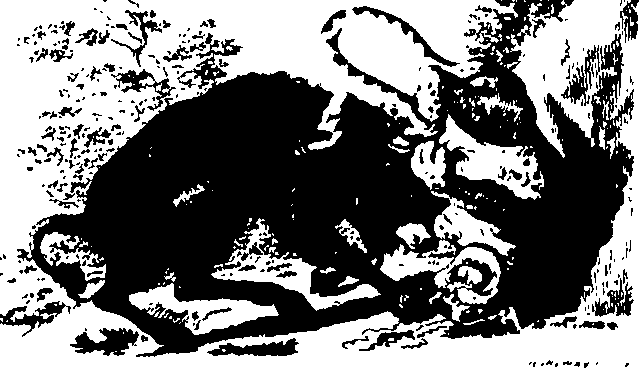 083/083600010201430_0.png