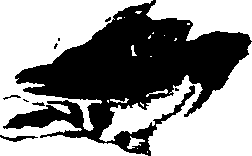 083/083600010201480_1.png