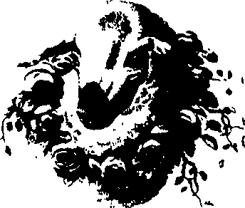083/083600010201490_0.png
