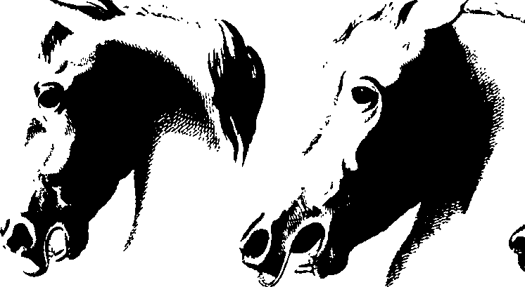 083/083600010201530_1.png