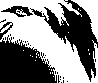 083/083600010201530_2.png